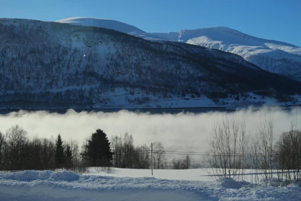 New Magnificent View Apartment Near The Centre Tromsø Exteriér fotografie