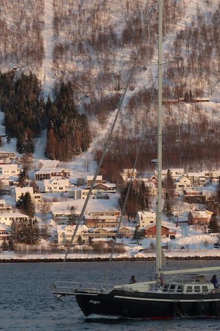 New Magnificent View Apartment Near The Centre Tromsø Exteriér fotografie