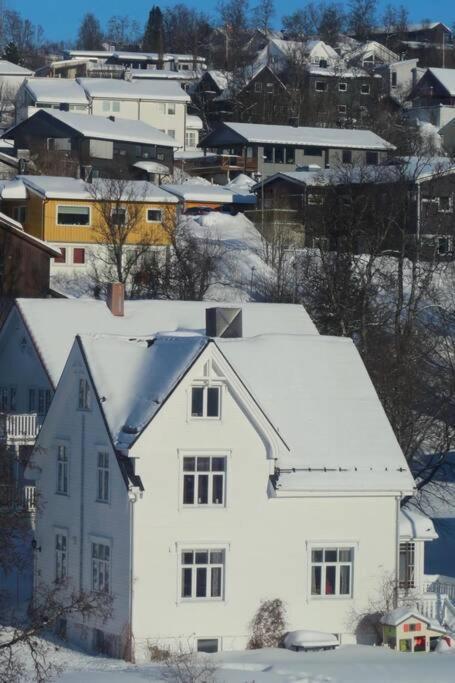 New Magnificent View Apartment Near The Centre Tromsø Exteriér fotografie